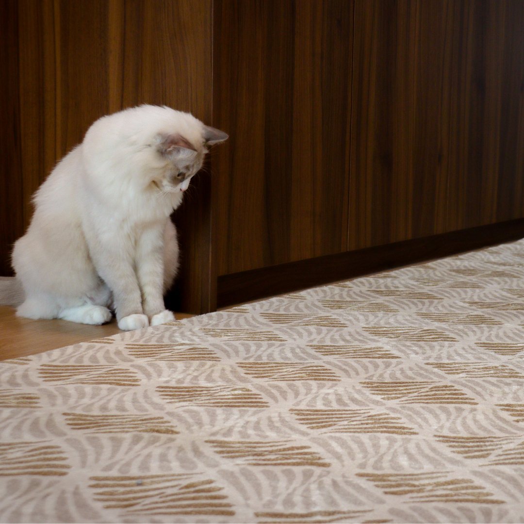 Tapis Amber Shell | Scandinave | Série Polyfibre Cachemire