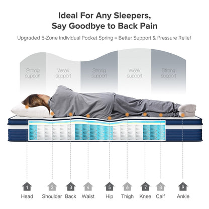 Matelas hybride à ressorts SweDrea de 25 cm, soulageant la pression et rafraîchissant, certifié CertiPUR-US, SGS et OEKO-TEX.
