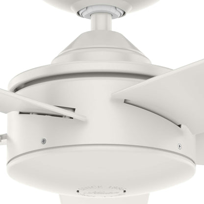 Ventilateur de plafond intérieur/extérieur Hunter 52 Shorebreak WeatherMax avec commande murale - Résistant aux intempéries, au sel et à la corrosion
