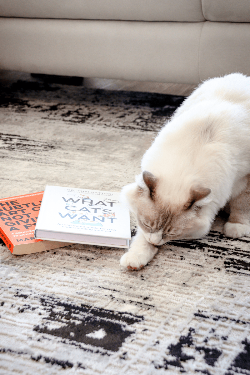 Tapis de luxe tissé noir | Série Carlton Modern