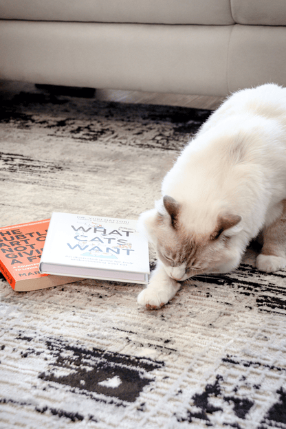 Tapis de luxe tissé noir | Série Carlton Modern