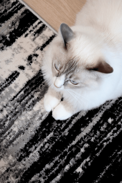 Tapis de luxe tissé noir | Série Carlton Modern