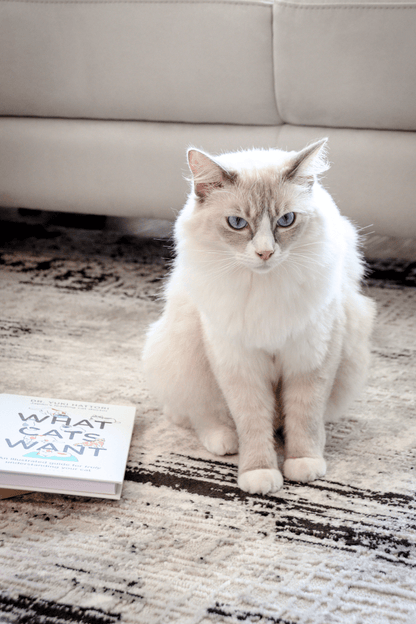 Tapis de luxe tissé noir | Série Carlton Modern