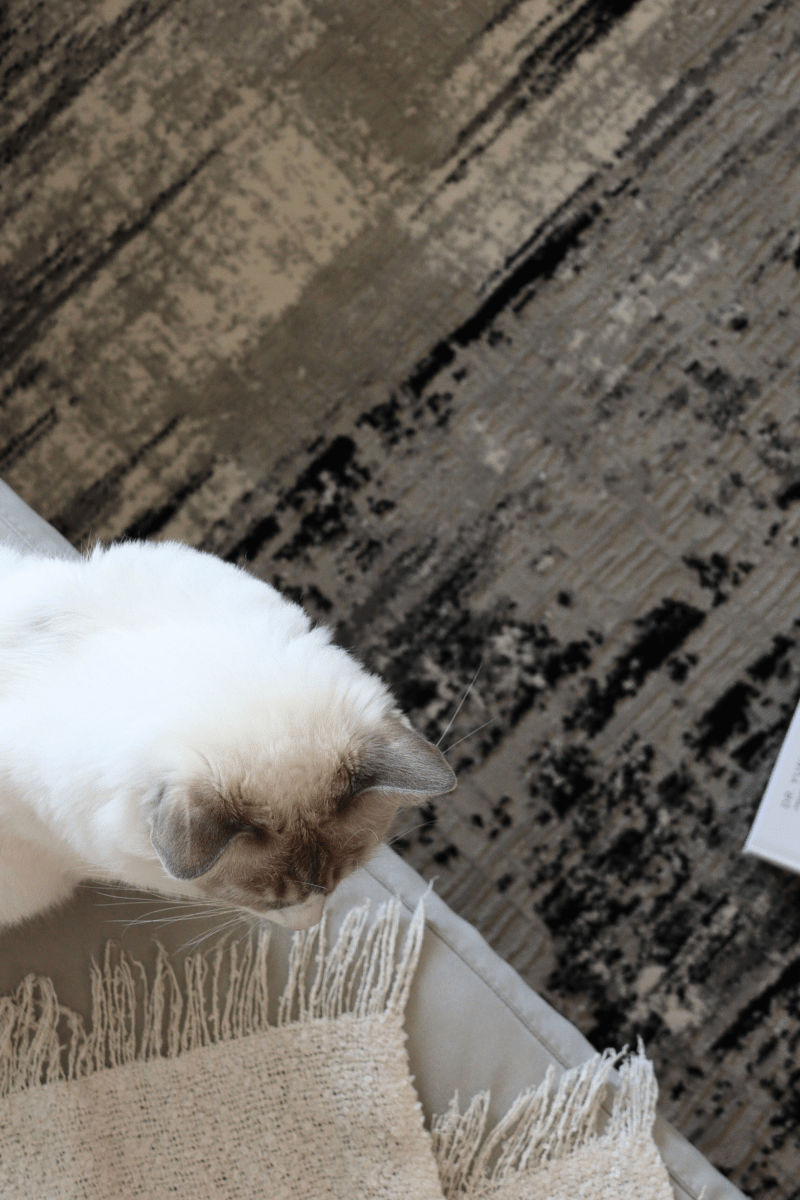 Tapis de luxe tissé noir | Série Carlton Modern