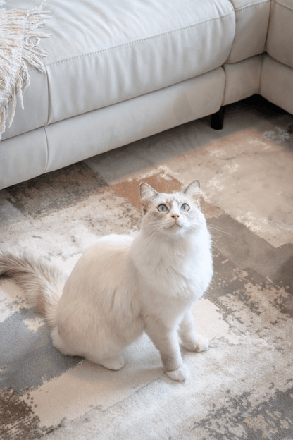 Tapis de luxe en toile intemporelle | Série Carlton Modern